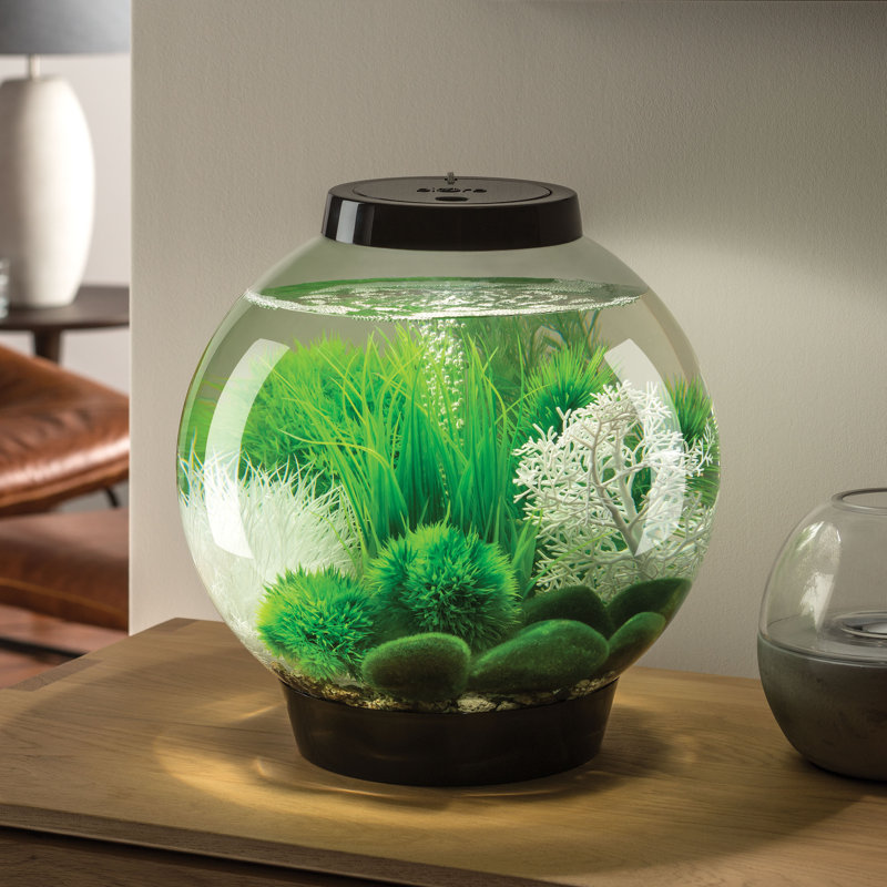 biOrb 4 Gallon Round Fish Bowl Wayfair